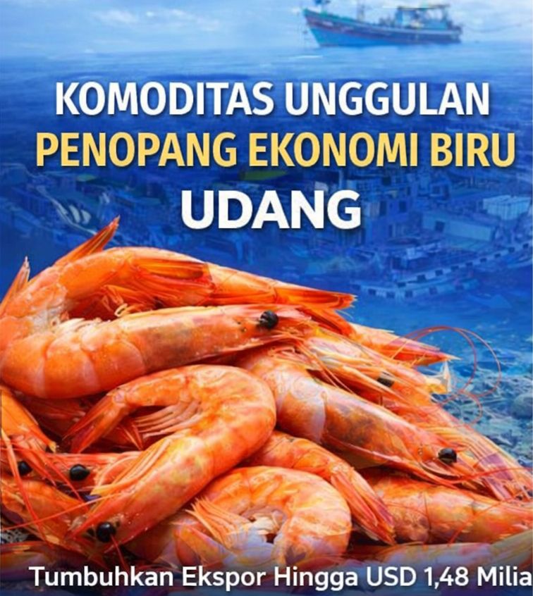 Udang Jadi Komoditas Unggulan Penopang Ekonomi Biru Indonesia